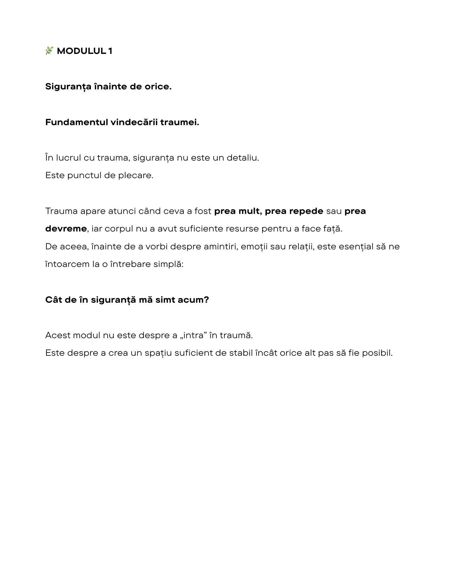 Jurnal trauma - Diana Encea. Detalii