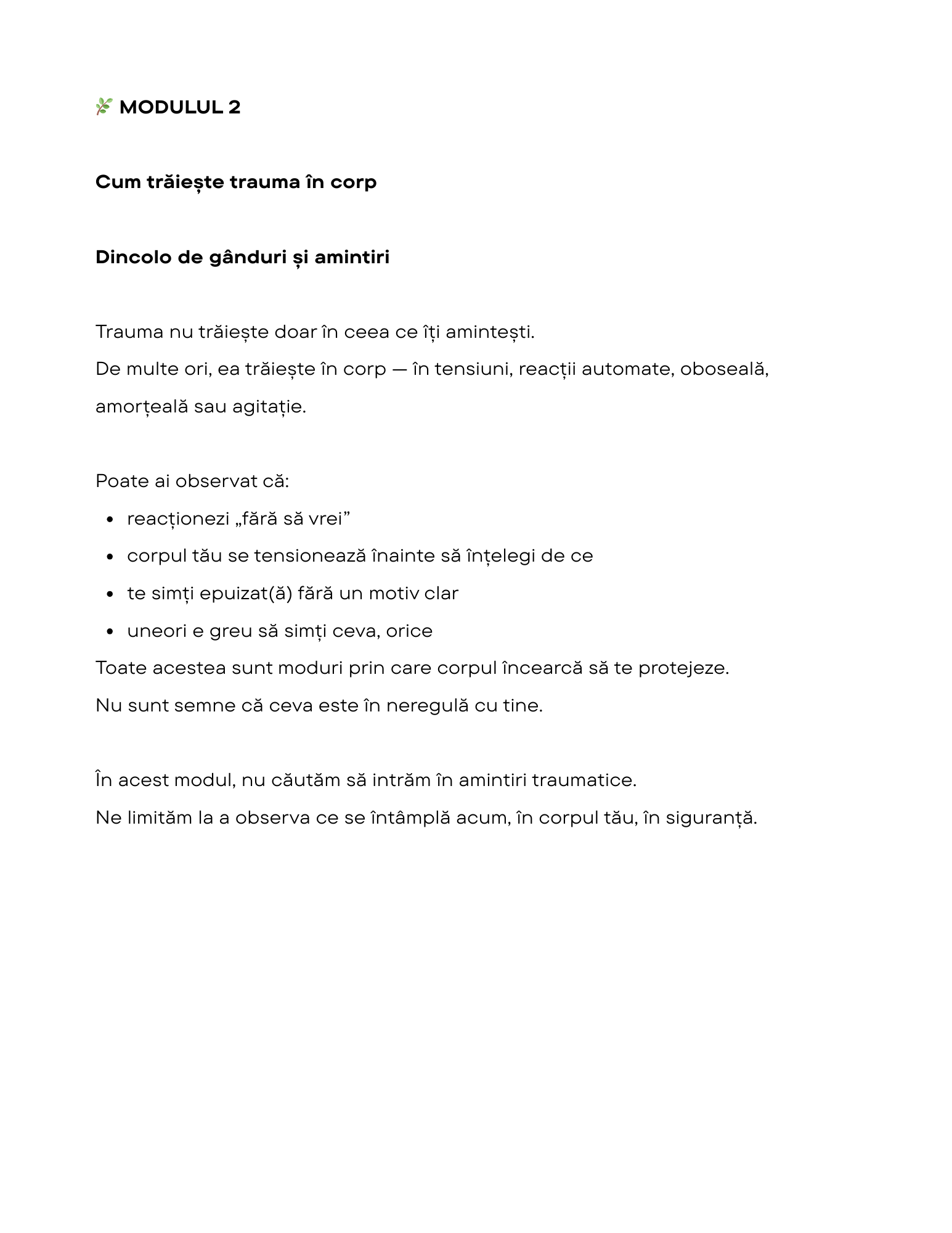 Jurnal de Recuperare Emoțională: Un spațiu sigur pentru procesarea traumei - imagine 4